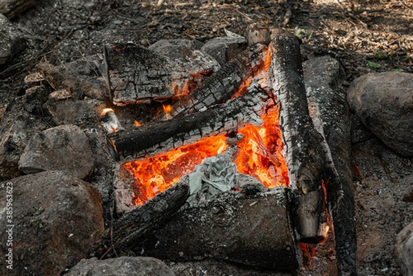 Fototapeta Flames of a bonfire in the forest in nature, photo of camping