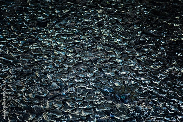 Obraz Schottersteine