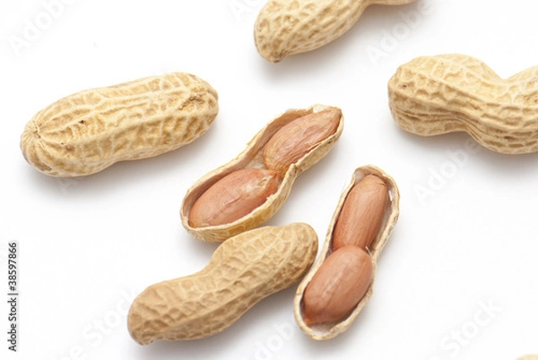 Fototapeta 花生