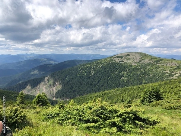 Obraz landscape with sky