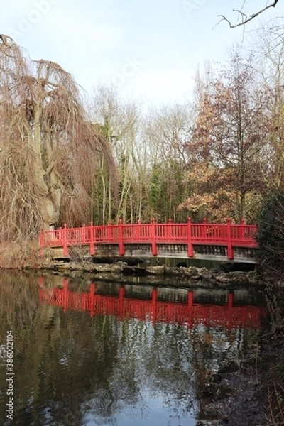 Obraz Pont Japonais