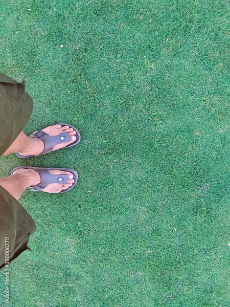 Obraz feet on the beach
