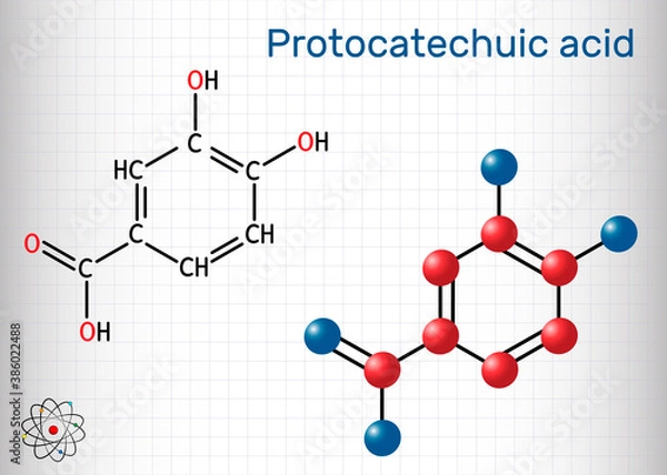 Fototapeta Protocatechuic acid, PCA molecule. It is 3,4-dihydroxybenzoic, phenolic acid, metabolite of antioxidant polyphenols, catechol, is found in green tea. Sheet of paper in a cage