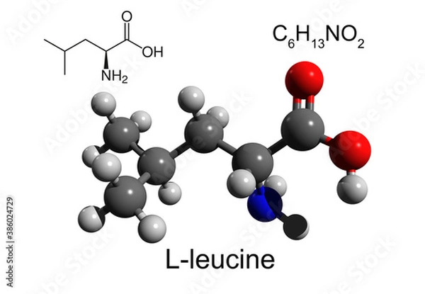 Fototapeta Chemical formula, structural formula and 3D ball-and-stick model of L-leucine, an essential amino acid, white background