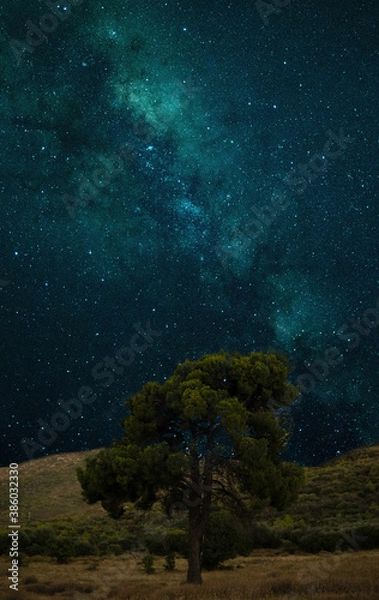 Obraz starry night sky