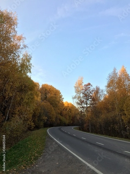 Obraz road in autumn