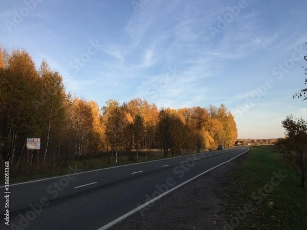 Obraz road in autumn