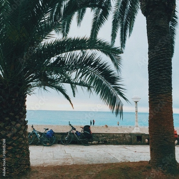 Obraz Processed with VSCO with c8 preset