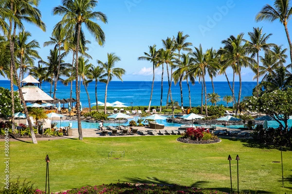 Fototapeta Plam trees at Beach resort, Waikoloa, Big Island, Hawaii. The Fairmont Orchid is a luxury hotel on the Kohala Coast of the island of Hawaii. 