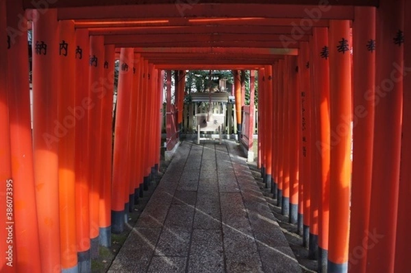 Fototapeta 赤鳥居