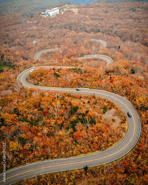 Obraz View of winding path to the mountain in Autumn shot by drone