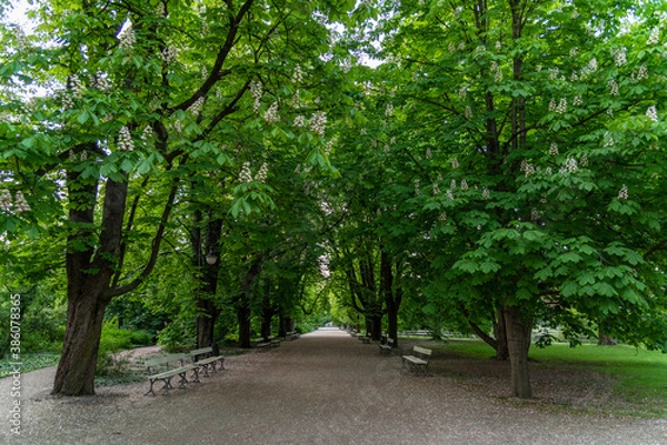 Obraz Park Ujazdowski is one of the most picturesque parks of Warsaw, Poland.