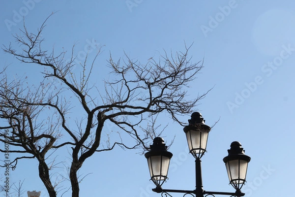 Obraz lamp and tree