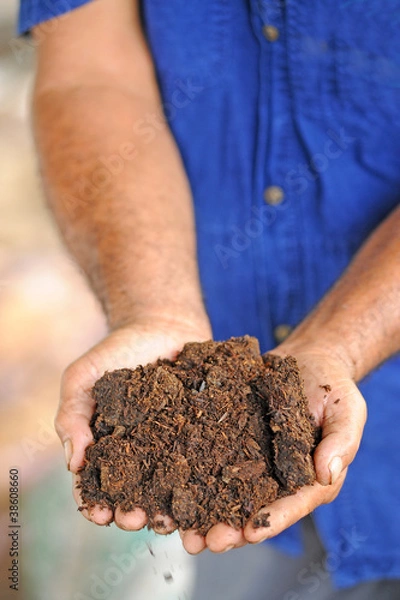 Fototapeta hands with soil