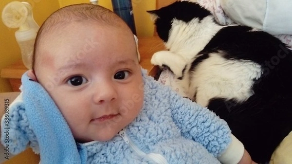 Obraz Bebé y gato