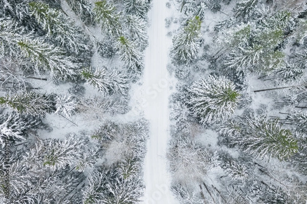 Fototapeta Top down view of the forest in winter. Winter landscape in the forest. Flying over winter fir forest. Top down view of high snowy trees. Trees in the snow. Frosty forest. Nature