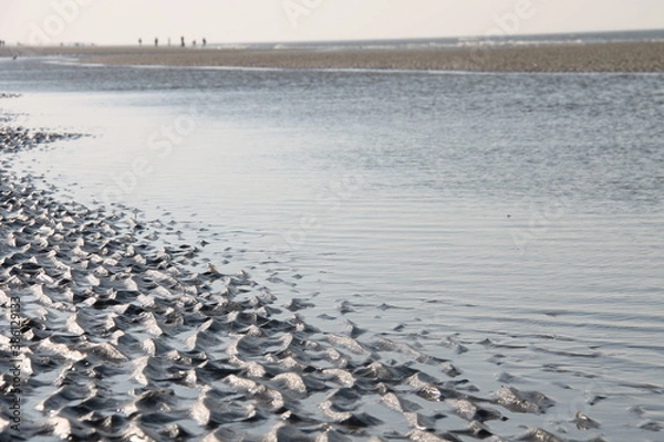 Fototapeta Beach walk