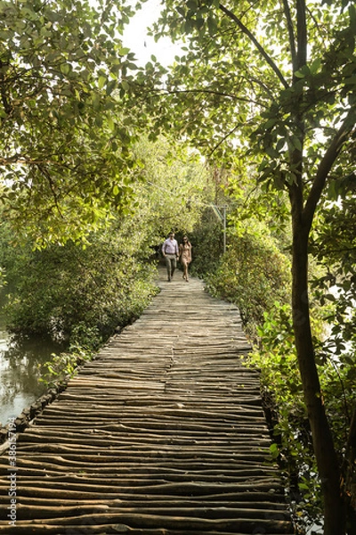 Obraz walk in the woods