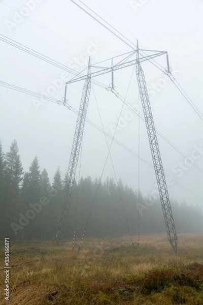 Fototapeta power lines