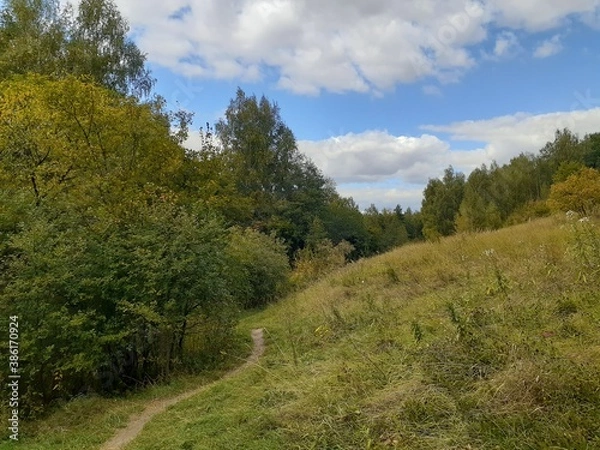 Fototapeta 
narrow path in the green forest