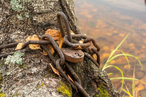 Fototapeta rusty chain