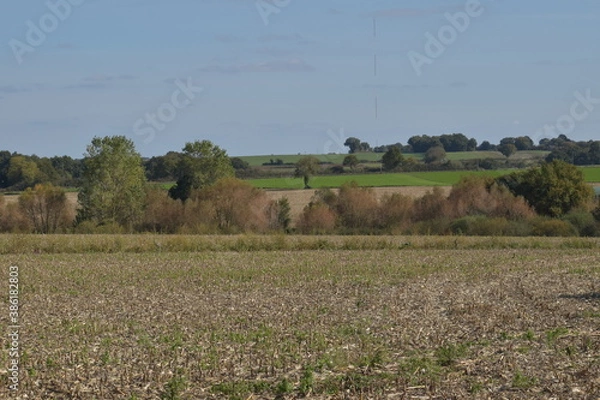 Obraz fields in autumn 