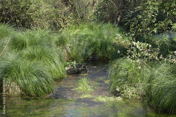 Obraz river in grassland 