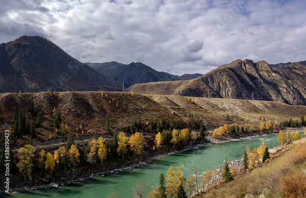 Fototapeta the Katun river in the fall, Russia, Altay