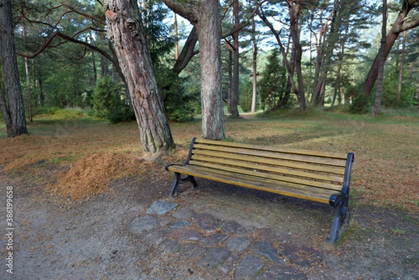 Obraz Empty bench in city park