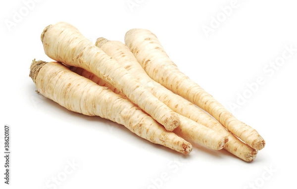 Fototapeta korzenie pietruszki