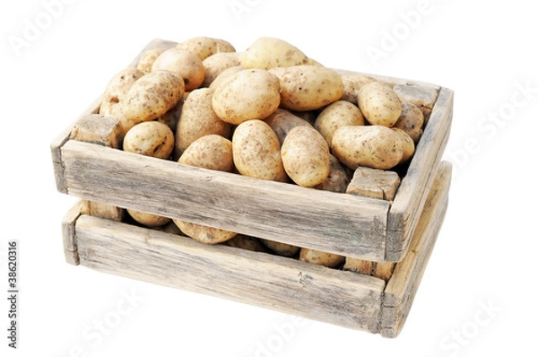 Obraz potatoes in a box
