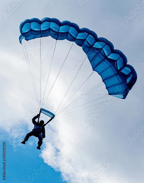 Obraz Parachutist Landing