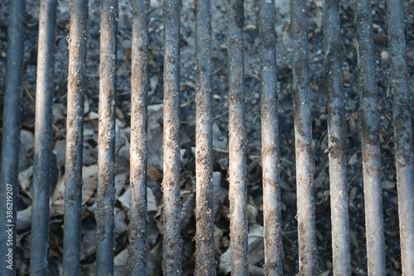 Fototapeta Grill Grate