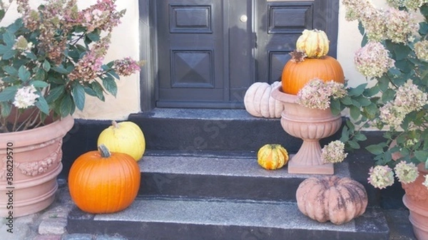 Obraz halloween pumpkin and pumpkins