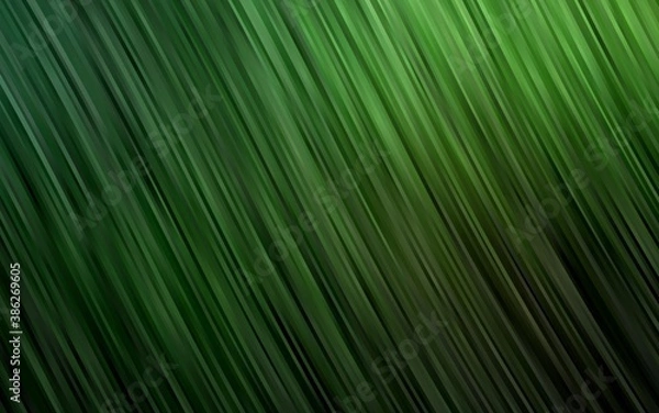 Fototapeta Dark Green vector pattern with bubble shapes.