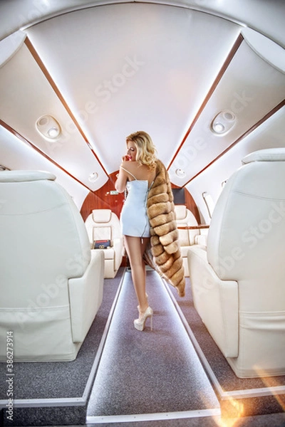 Obraz Beautiful rich woman in a dress and a fur coat in a private first class plane