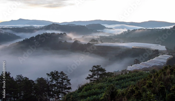 Obraz fog over the mountains