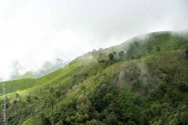 Obraz landscape with fog
