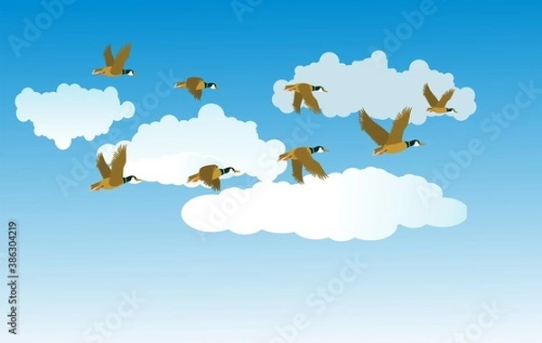 Fototapeta migratory birds fly in the clouds, vector
