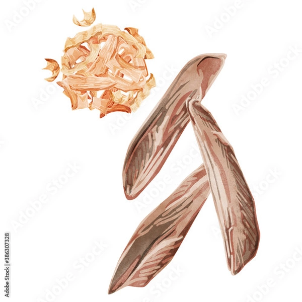 Obraz 鰹節と削り節の水彩風イラスト