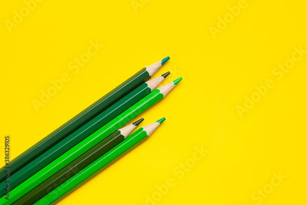 Fototapeta diagonal green sharp wooden pencils on a bright yellow background, isolated, copy space, mock up.
