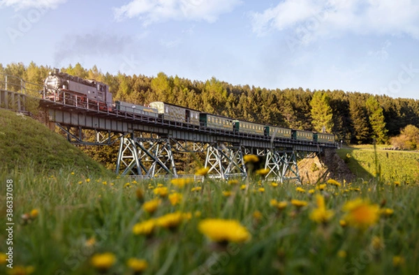 Obraz flowers on a farm