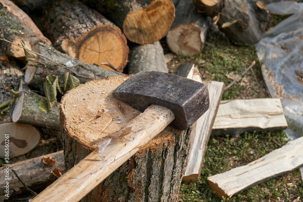 Obraz Axe in Chopping Block and Firewood