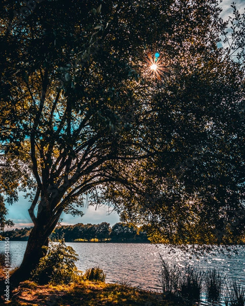 Obraz plan d'eau du miallet