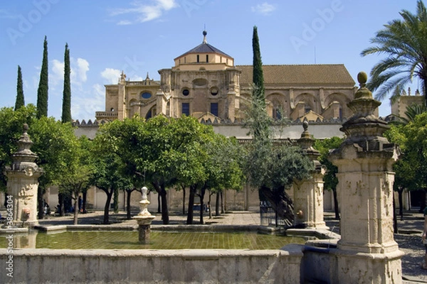 Fototapeta Mezquita Garden