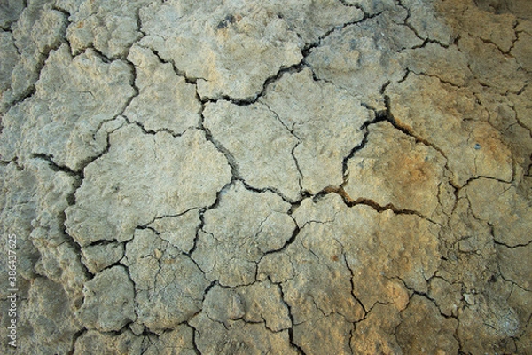 Fototapeta clay surface of the earth made of dry red refractory clay