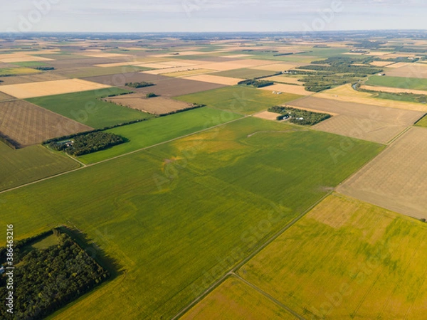 Fototapeta Scenic Aerial View of Farm Fields on Summer Day in North Dakota.