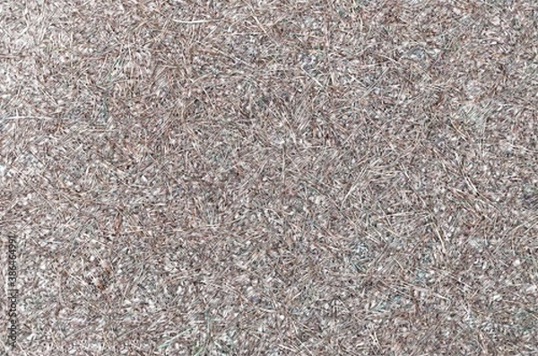 Fototapeta 
dry pine needles in warm autumnabstractbackdropbackgroundblackconcretedesigndetailfloorgravelgraygreygrungematerialnatureoldpatternrockroughstonesurfacetexturetexturedwallwallpaperwhite
