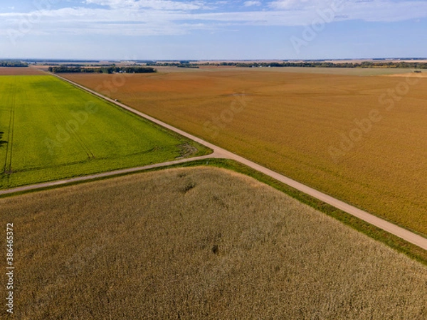 Fototapeta Aerial View of Farm Fields on Summer Day in North Dakota.