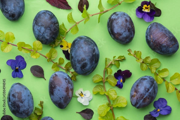 Obraz ripe plum on a green background